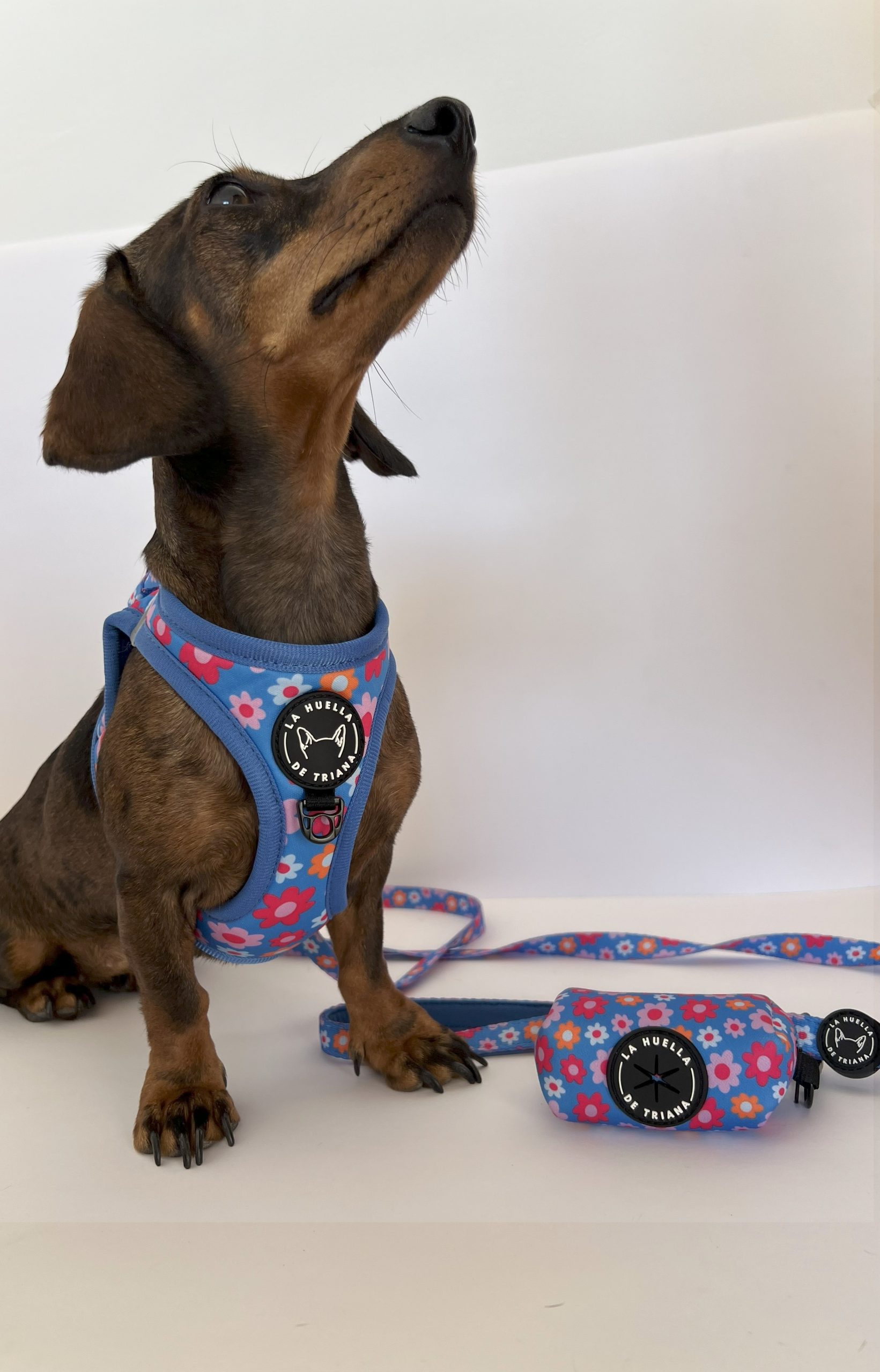 PORTA BOLSAS FLORAL - Imagen 2