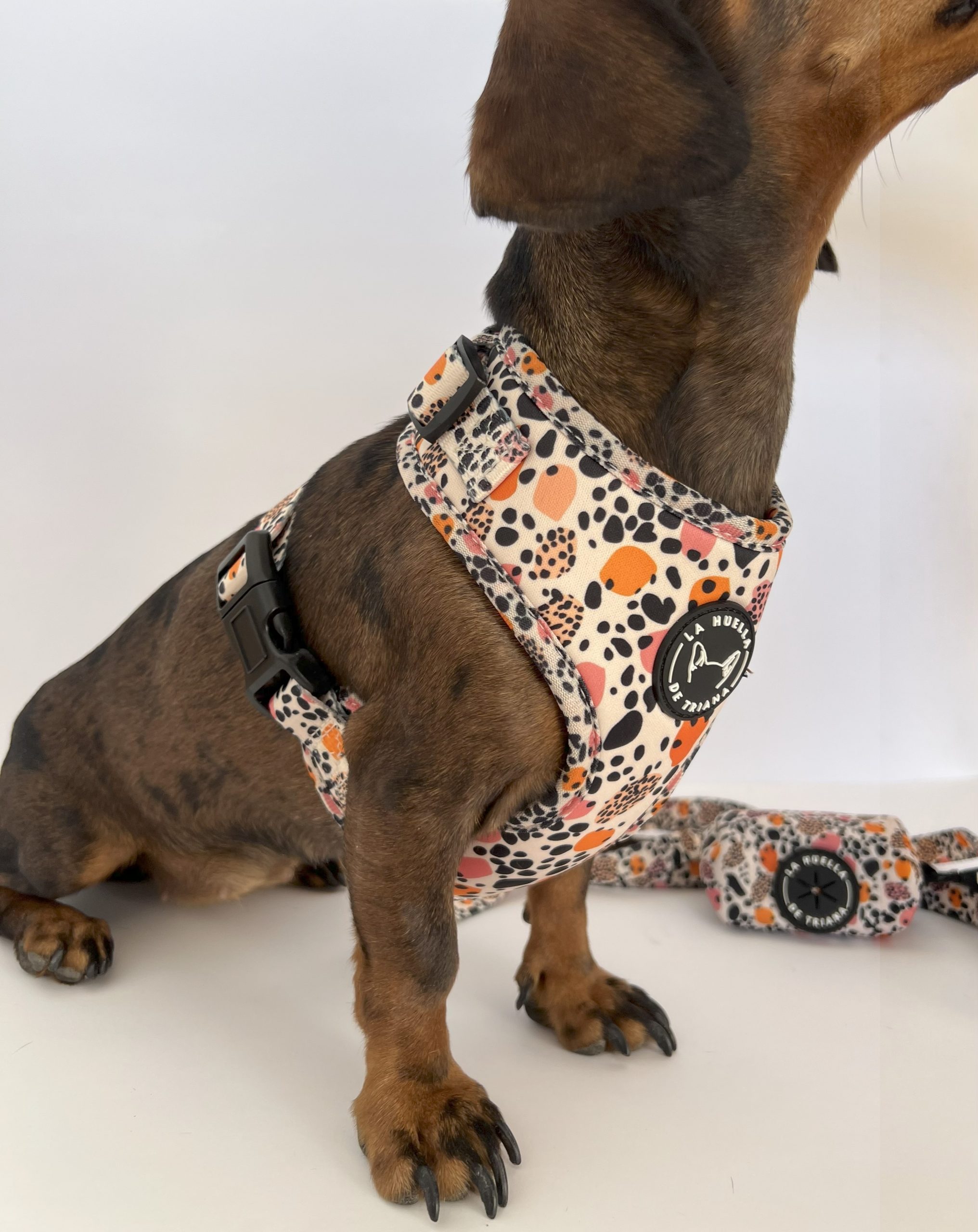 ARNÉS AJUSTABLE ANIMAL PRINT - Imagen 3