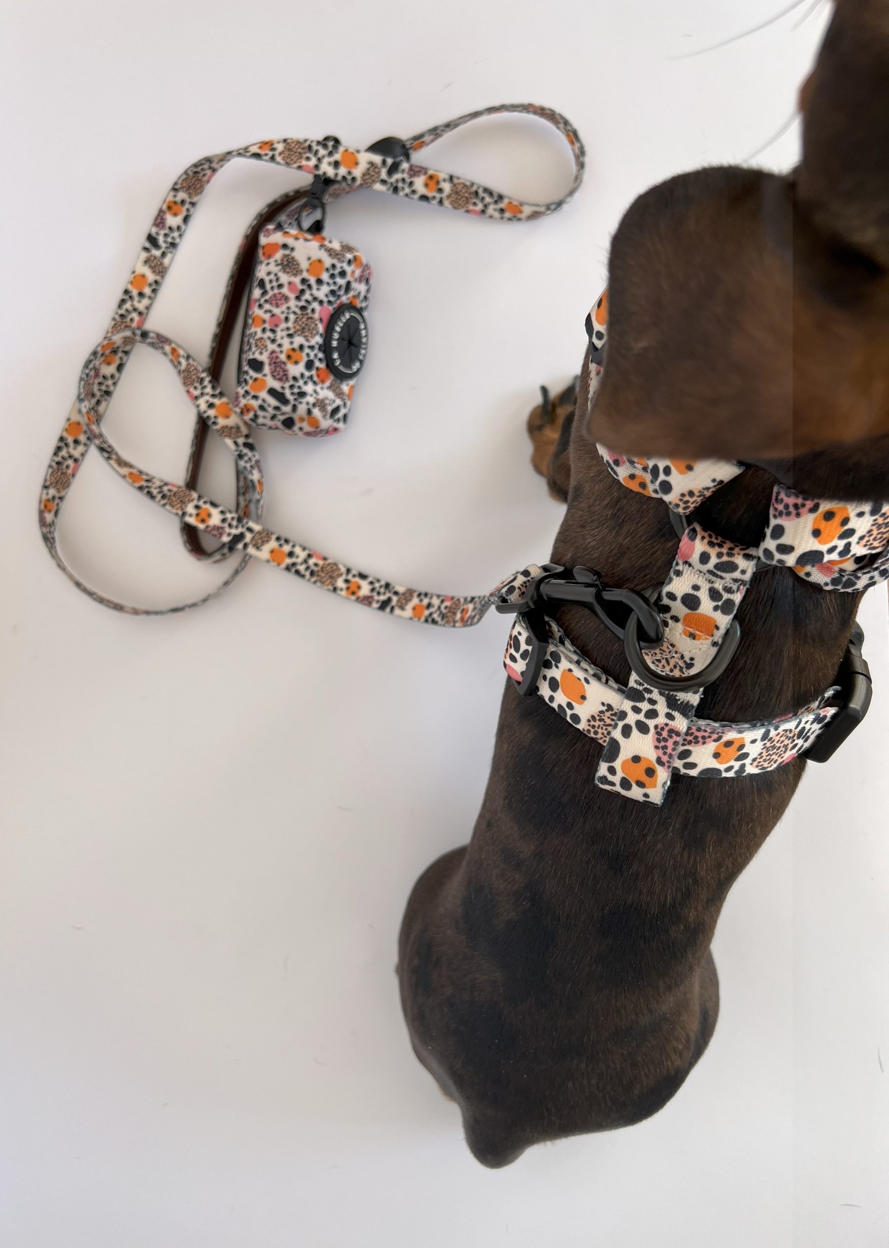 ARNÉS AJUSTABLE ANIMAL PRINT - Imagen 4